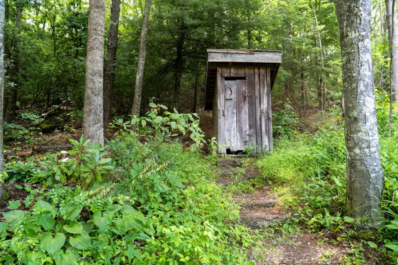 America's Bathroom Revolution: From Midnight Sprints to Morning Spa Rituals