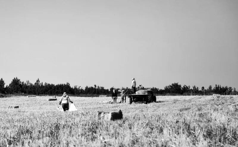 The Day America Stopped Knowing Where Its Food Came From